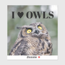I Love Owls Sticker シール