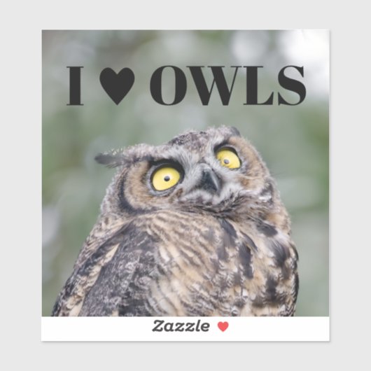 I Love Owls Sticker シール (シート)