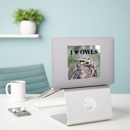 I Love Owls Sticker シール (デスク上のノートパソコン)
