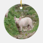 I Love Pigs * National Pig Day  セラミックオーナメント (裏面)