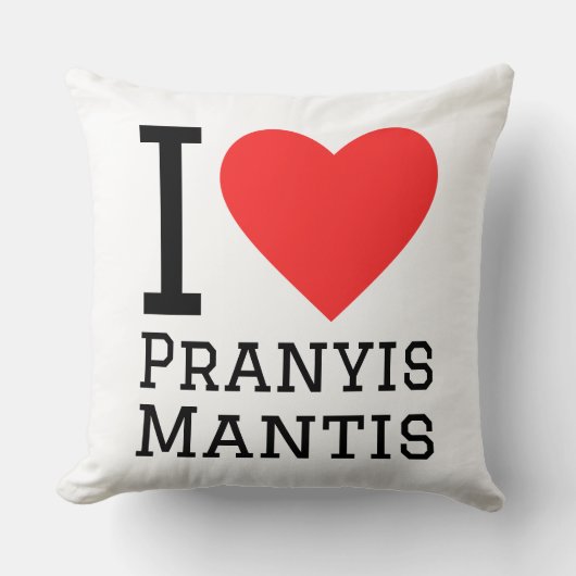 I love prayis mantis クッション (正面)