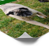 I Love Pugs Poster ポスター (角)