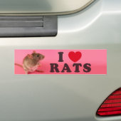 I love Rats (in pink) バンパーステッカー (車上)