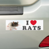 I love (variegated) Rats バンパーステッカー (車上)