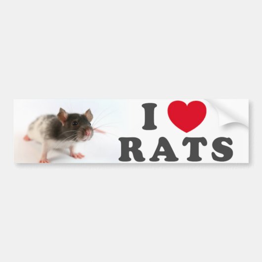 I love (variegated) Rats バンパーステッカー (正面)