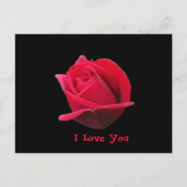 I Love Youバラ葉書 ポストカード