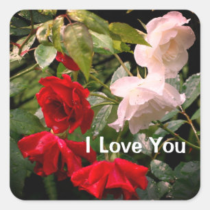 I Love You Drenched Roses Floral スクエアシール