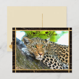 I Love You Leopard写真 ポストカード