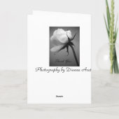 I Love You - White Rose Card カード (裏面)