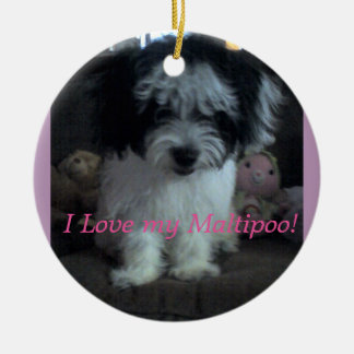 I Lovee私のMaltipoo! オーナメント