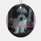 I Lovee私のMaltipoo! オーナメント (左)