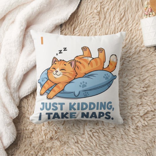 I’m Not Lazy, I’m Energy Efficient クッション (ブランケット)