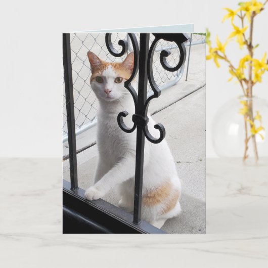 I Miss You Cat カード (黄色い花)