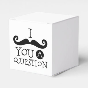 I MUSTACHE YOU A QUESTION フェイバーボックス