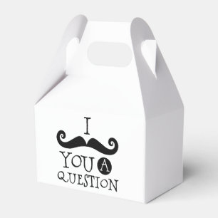 i mustache you a question フェイバーボックス