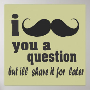 I mustache you a question ポスター