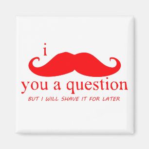 I MUSTACHE YOU A QUESTION マグネット
