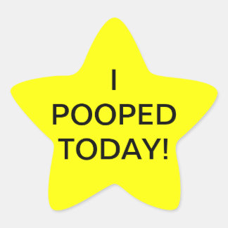 I POOPED TODAY - star stickers 星シール