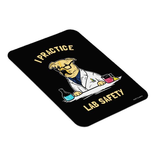 I Practice Lab Safety マグネット (右側)