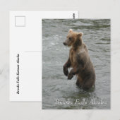 I see you fishy, Brooks Falls Alaska ポストカード (正面/裏面)