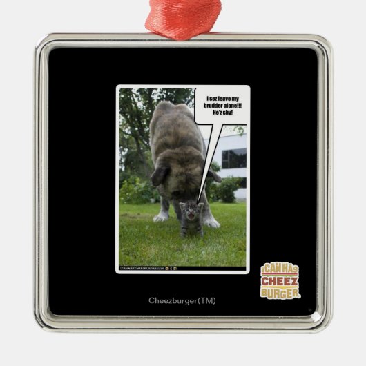 I sezの許可単独で私のbrudder メタルオーナメント (正面)