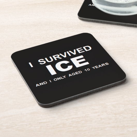 I Survived ICE  コースター (左側)