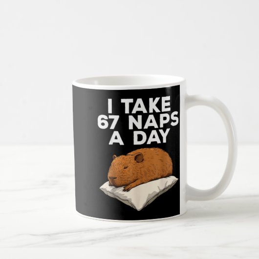 I Take 67 Naps A Day Funny Capybara Six Seven Meme コーヒーマグカップ (右)