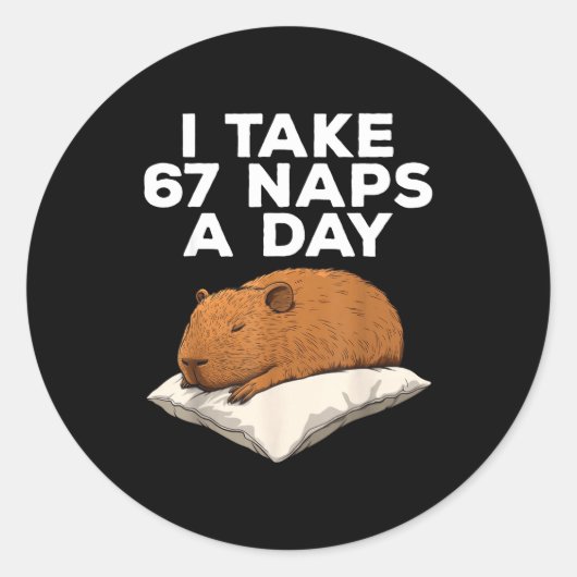 I Take 67 Naps A Day Funny Capybara Six Seven Meme ラウンドシール (正面)