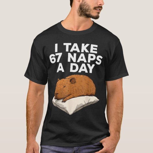 I Take 67 Naps A Day Funny Capybara Six Seven Meme Tシャツ (正面)