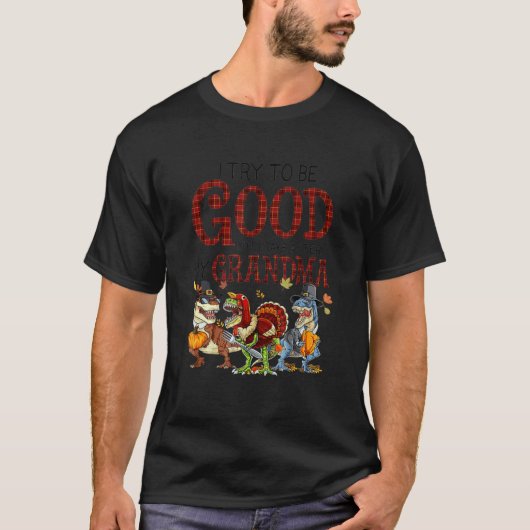 I try to be good but i take after my grandma Dinos Tシャツ (正面)