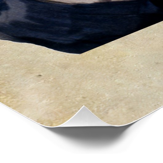 I Want You, Uncle Sam ポスター (コーナー)