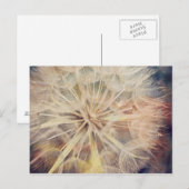 I Wish... – はがき (正面/裏面)