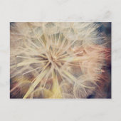 I Wish... – はがき (正面)