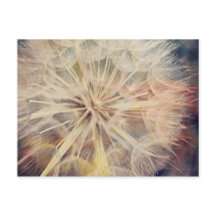 I Wish... – はがき