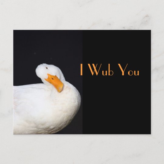 I Wubのかわいく白いアヒル ポストカード Zazzle Co Jp