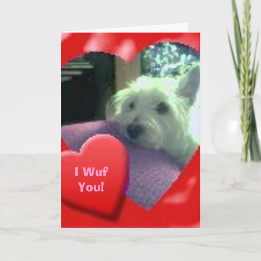 I Wuf You Valentines'Day Westieカード シーズンカード (正面)