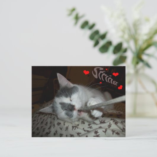 I WUV文字列 ポストカード (スタンド正面)