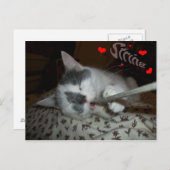 I WUV文字列 ポストカード (正面/裏面)