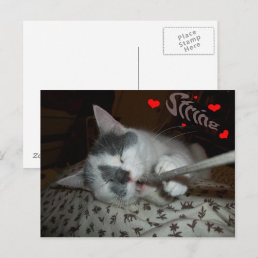 I WUV文字列 ポストカード (正面/裏面)