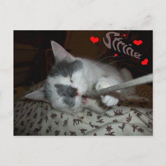 I WUV文字列 ポストカード (正面)