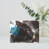 I You 恋しく思 Black/White Catはがき 案内ポストカード (スタンド正面)