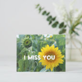 I You 恋しく思Photo黄色ひまわり芽カスタム文字 ポストカード (スタンド正面)