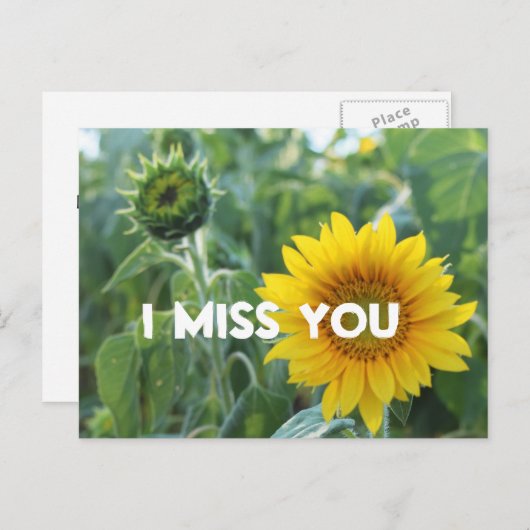 I You 恋しく思Photo黄色ひまわり芽カスタム文字 ポストカード (正面/裏面)