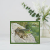 IAバーリントンのクラポパークカエル ポストカード (スタンド正面)