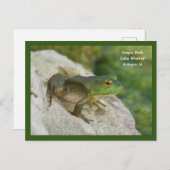 IAバーリントンのクラポパークカエル ポストカード (正面/裏面)