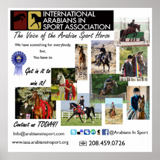 IASAポスター ポスター