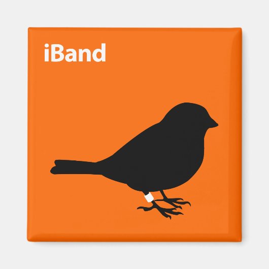 iBand マグネット (正面)