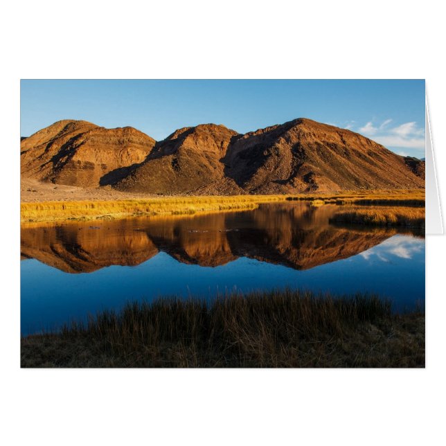 Ibexの丘の反射 (正面横)