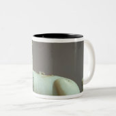 ibexの形のunguentの瓶のふた ツートーンマグカップ (正面右)