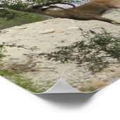 Ibexドライバ ポスター (角)